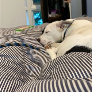 Meet your Posher, Becky